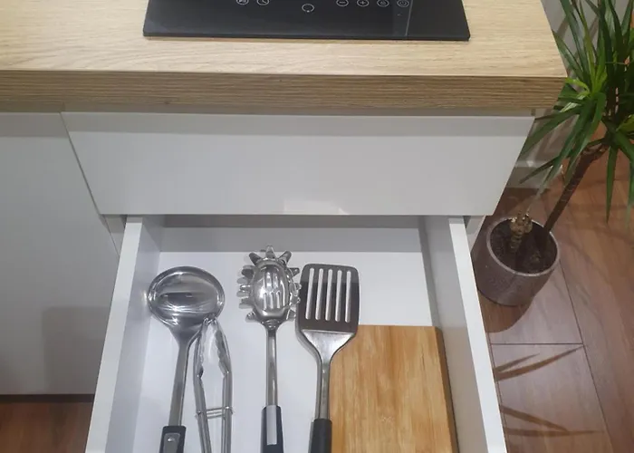 Living Center 1 * 地拉那